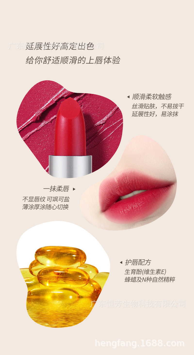 Hengfang Easy Color Lipstick 12-piece Cross-border wholesale beauty, skin care, makeup Lip lipstick pic 3