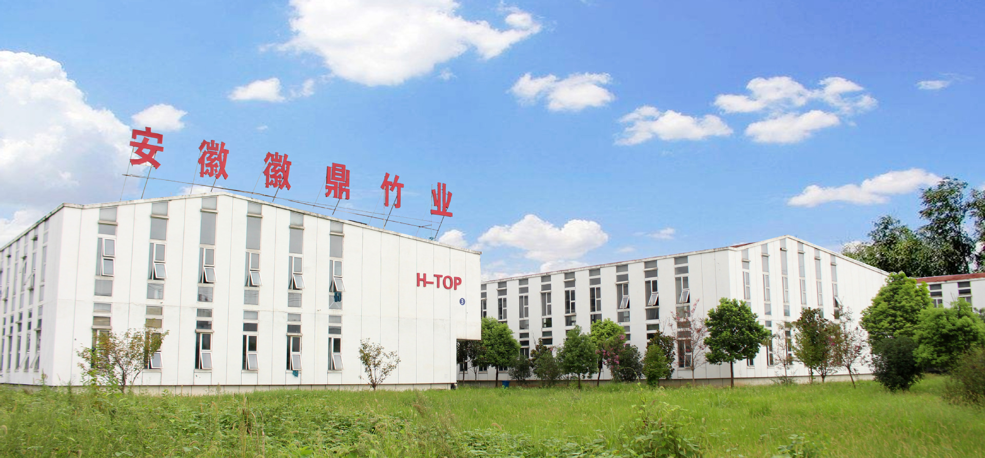 厂家直销单头竹牙签家用酒店餐厅双头牙缝清洁一次性散装牙签批发详情1