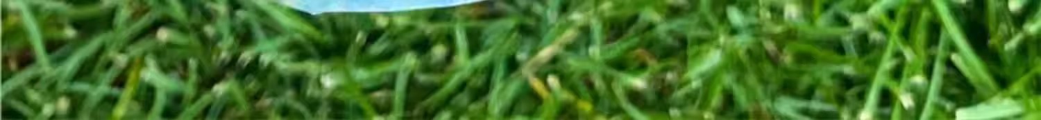 瓶子里的春天干花书签手工diy材料包透明植物秋天树叶标本塑封膜详情9