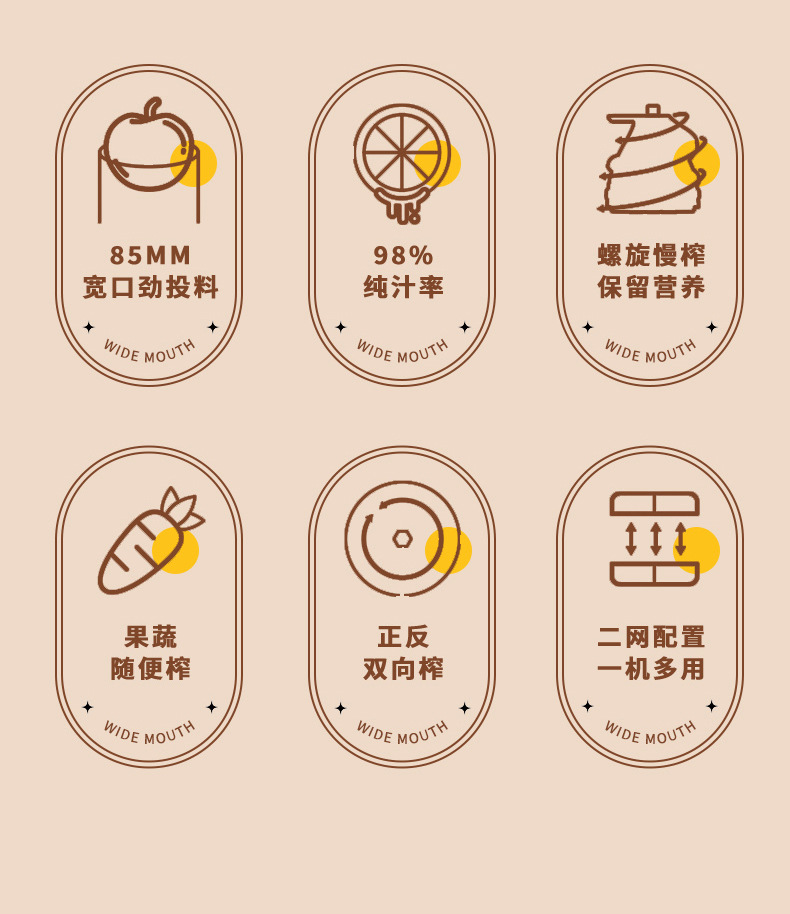 厂家生产批发榨汁机原汁机果蔬榨汁机学生榨汁杯螺旋榨汁机详情3