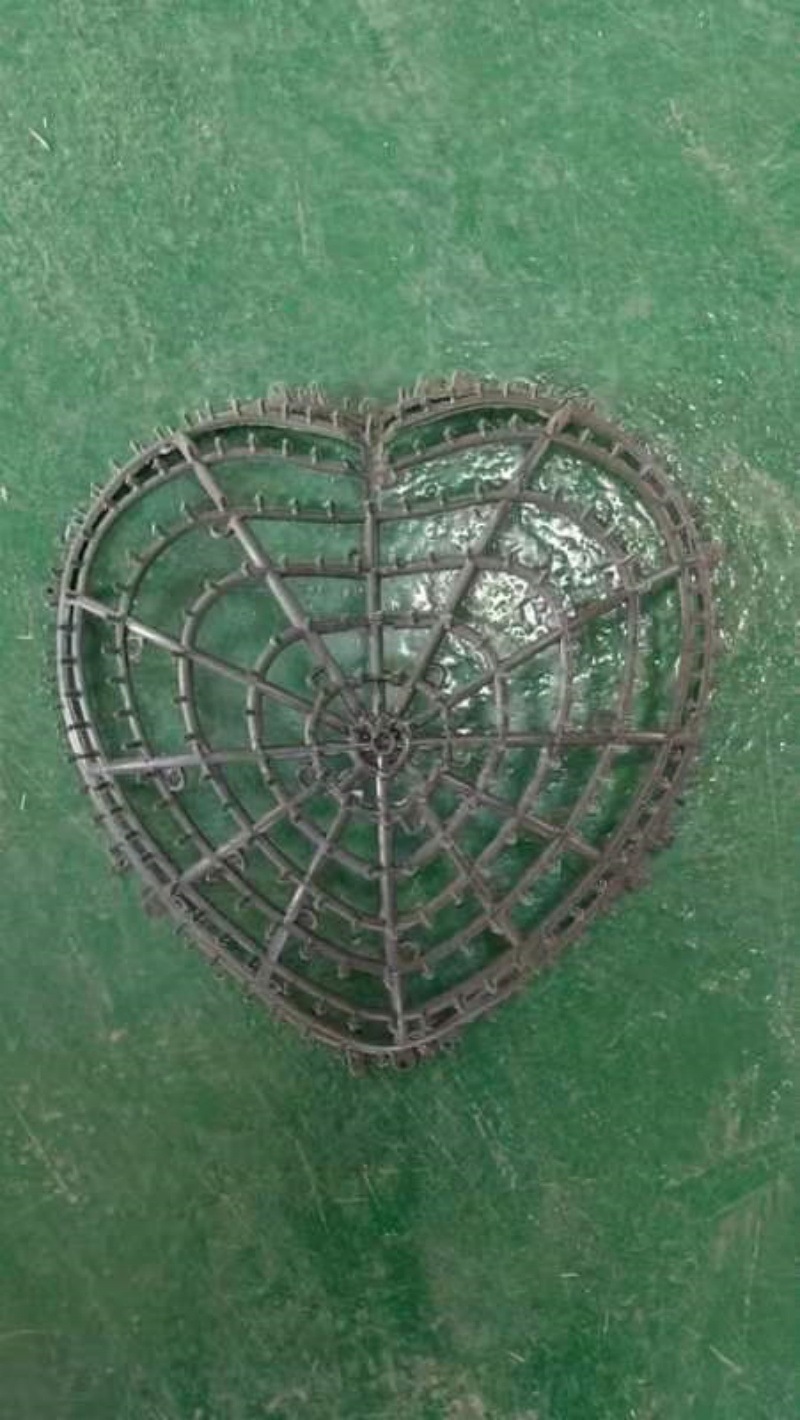 QQ图片20240724195555_副本