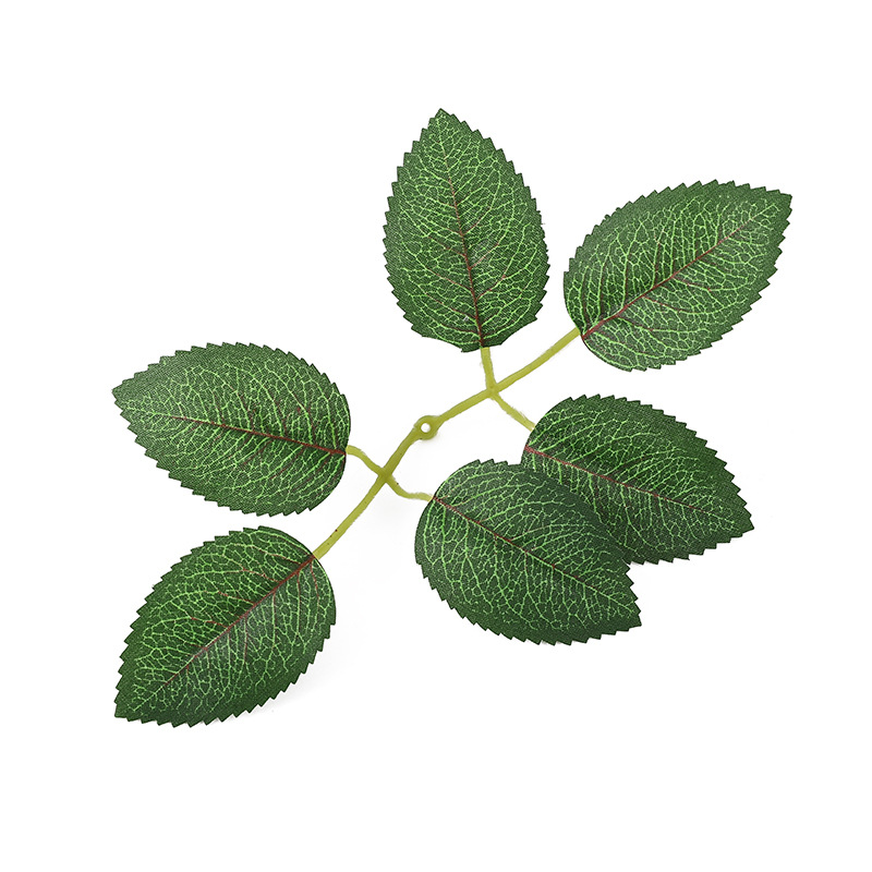 Factory wholesale imitation silk-screen printed 6-ear rose leaves, imitation green plant leaves, handcrafted eucalyptus leaf ornaments in stock pic 8