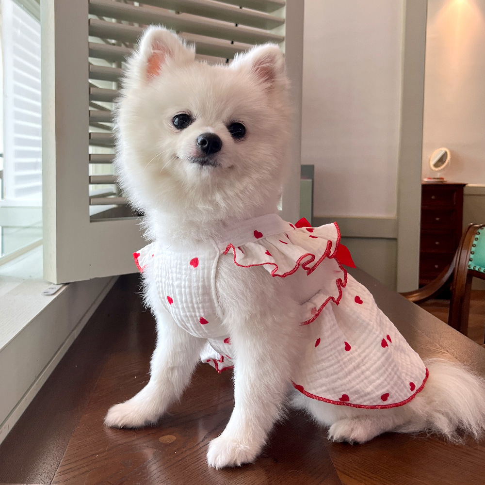 Mascotas vestido ropa ropa primavera verano perro gato teddy by bear pomerania muppet gato amor 100% algodón pic 17