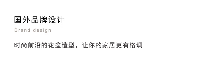 北欧陶瓷粗砂花盆象牙白蝴蝶兰陶盆兰花白陶创意个性绿植粗陶套盆详情5