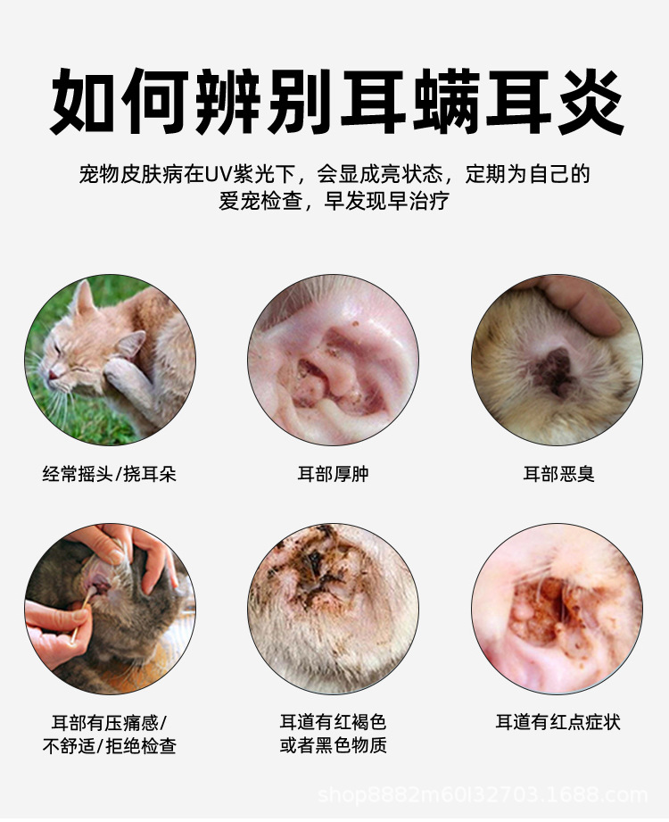 跨境新款UV365NM紫光手电筒紫外线鉴定灯烟酒玉石古玩钱币鉴定灯详情5