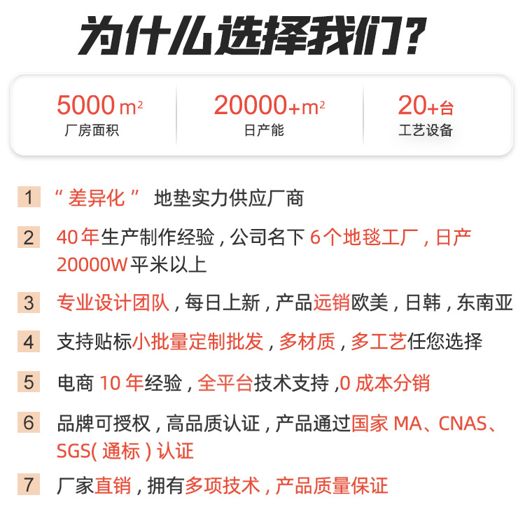 跨境入户门地垫家用门垫进门地毯门口加厚防滑轻奢高级玄关脚垫子详情3