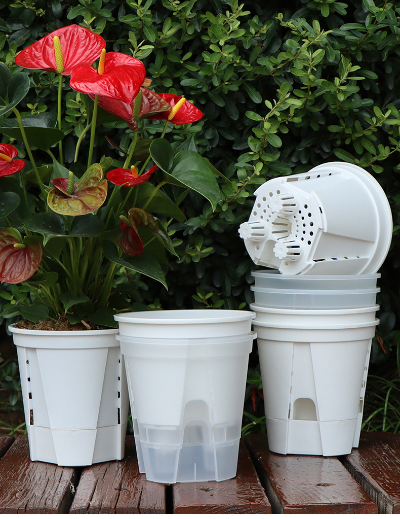 新款储水透明青山盆自吸水懒人盆控根盆朱顶红蝴蝶兰塑料花盆批发详情18