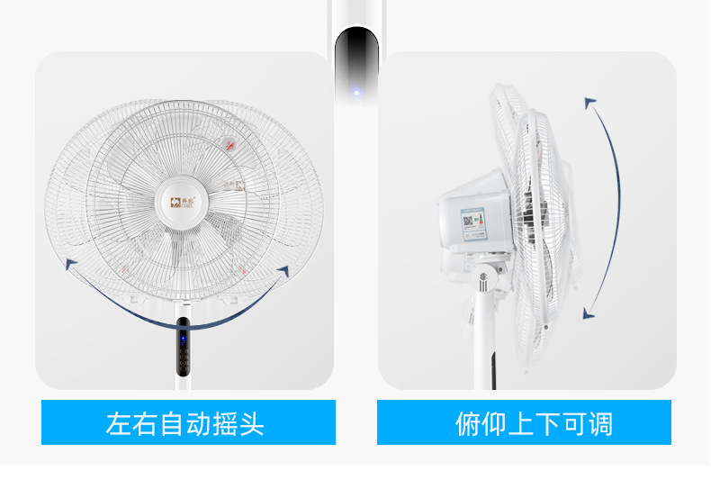 骆驼电风扇落地扇家用台扇轻音大风量台式摇头定时立式遥控省电扇详情5
