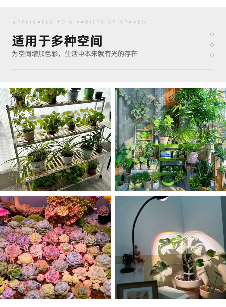 The clamps succulent supplementary light, indoor green plant and flower imitation solar full-spectrum plant growth light, is specially designed for coloring pic 15
