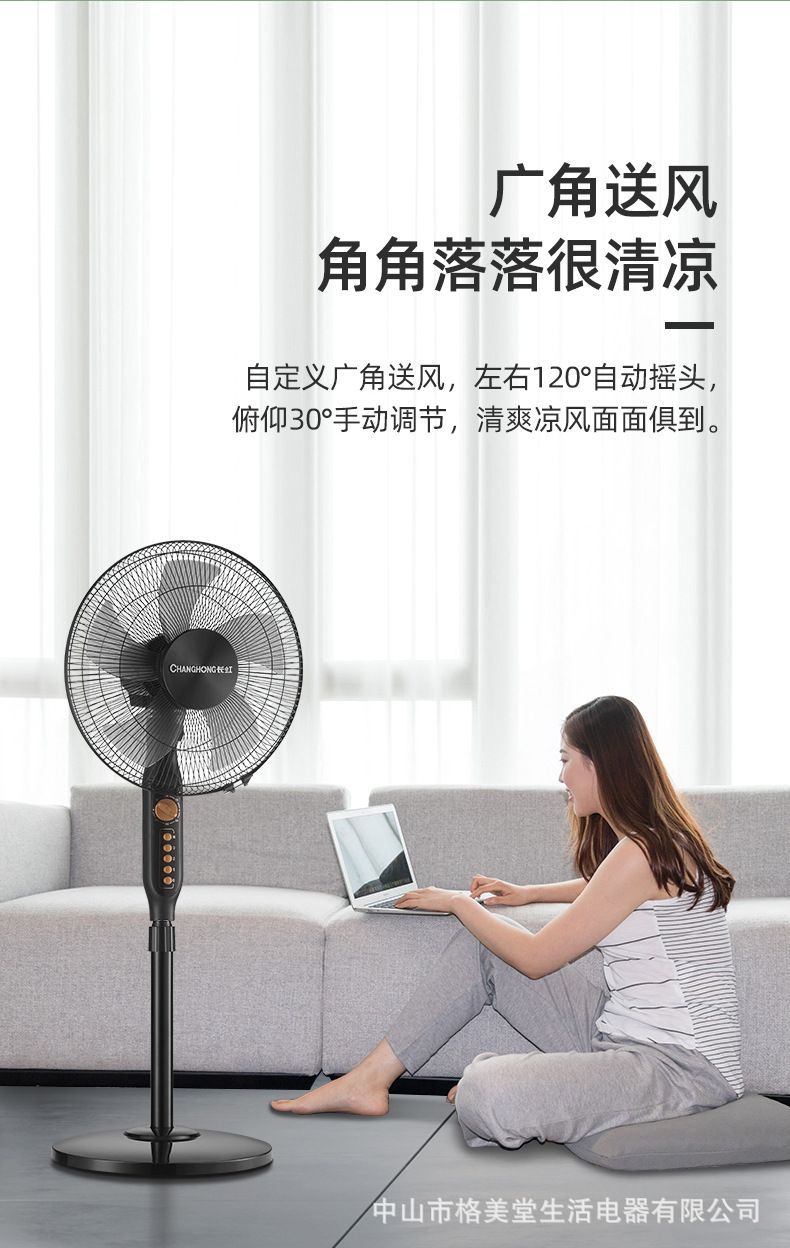Changhong/长虹风扇家用落地扇办公室定时摇头扇立体式16寸电风扇详情11