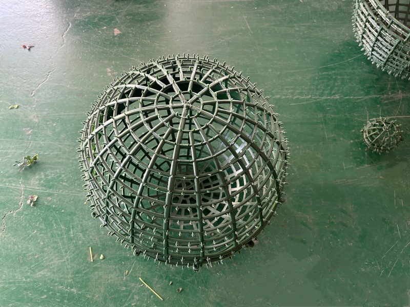 QQ图片20240724194807_副本