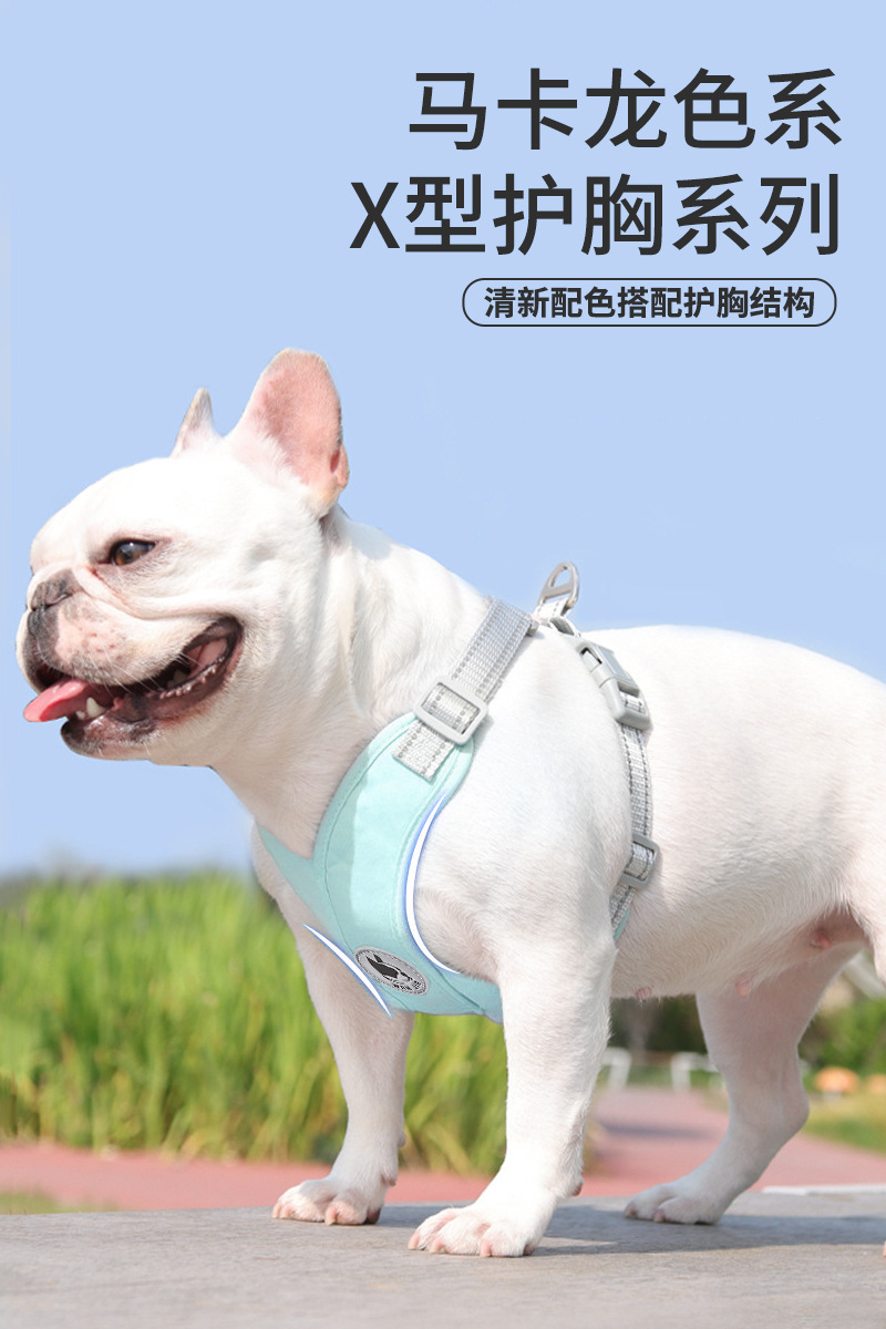 Dog leash, dog leash, vest type dog chest and back strap, adjustable safety leash for small and medium-sized dogs, dog walking wonder pic 1