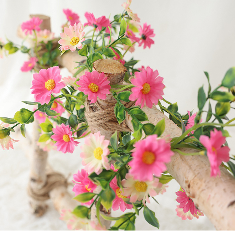 小雏菊---副本_13.jpg