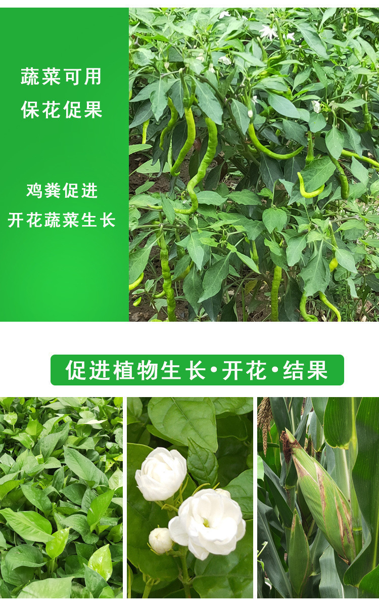 厂家直销鸡粪有机肥料干肥农家肥鸡屎肥蔬菜养花果树农家块种菜批详情5