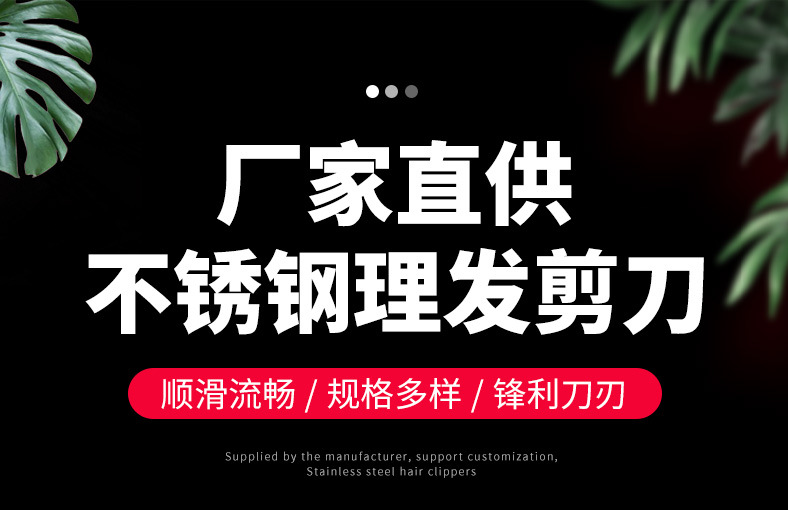 厂家批发七寸美发平剪牙剪家用不锈钢剪刀宠物修毛剪专业打薄剪详情2