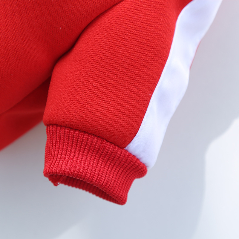 Ropa para mascotas otoño invierno calor marca de moda sudaderas letras fardoubi oso perro gato pequeño medio grande perro suministros pic 7