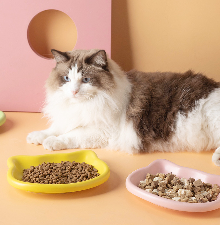 韩国陶瓷碗猫咪吃饭幼猫食盆罐头零食冻干餐盘矮脚猫碟盘子宠物碗详情11