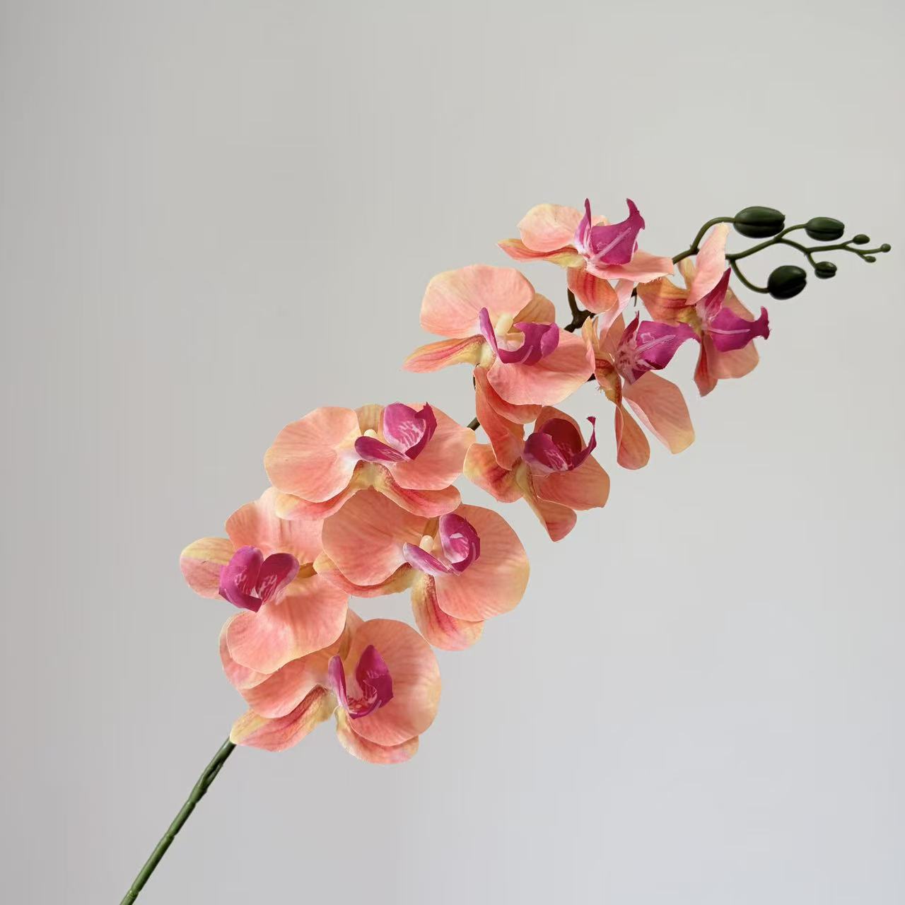 9头蝴蝶兰仿真花手感高级感逼真假花兰花艺场景布置酒店婚庆用花详情40