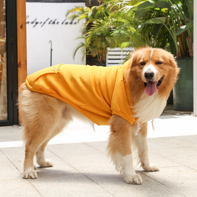 Otoño e invierno peluche de oro cremallera de bolsillo sudaderas grandes y medianas para perros perros ropa de gato fardo suministros para mascotas pic 20