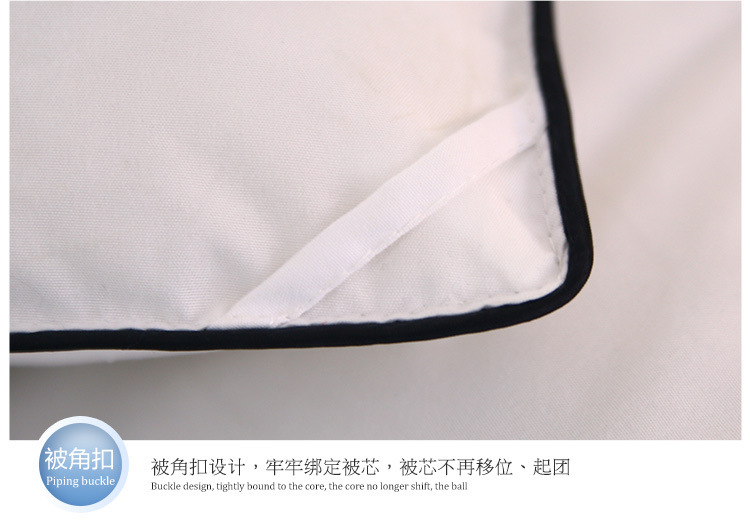 Hilton feather velvet quilt, thickened soybean quilt, winter quilt sheet, double spring and autumn quilt core, cotton quilt, gift quilt wholesale pic 17