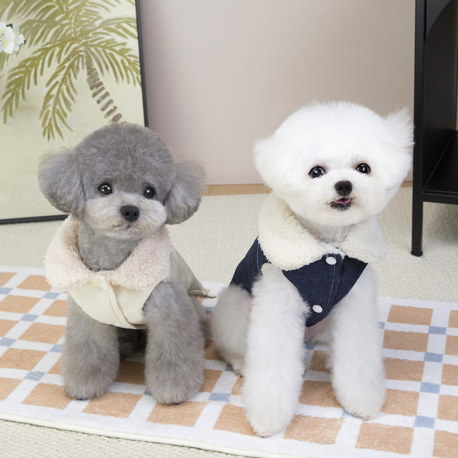 两只穿着外套的小狗宠物服装狗狗衣服宠物服饰新款可爱宠物狗狗衣服详情7