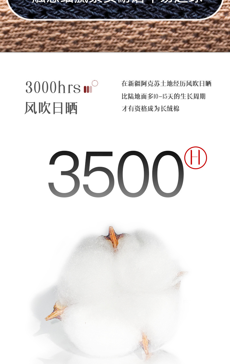 袜子男春夏新款船袜纯棉网眼印字短袜日系简约百搭低帮纯色运动袜详情4