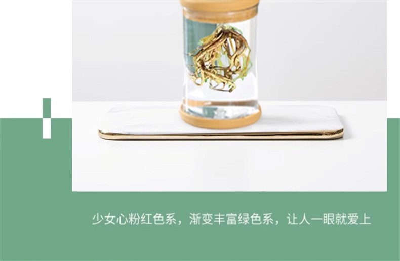 水培植物盆栽绿萝栀子花办公室内花卉小绿植四季好养多肉水养盆栽详情6
