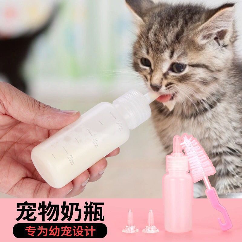 宠物奶瓶幼猫奶瓶猫咪奶瓶小幼犬崽新生奶猫咪狗狗喂奶瓶器软奶嘴详情5