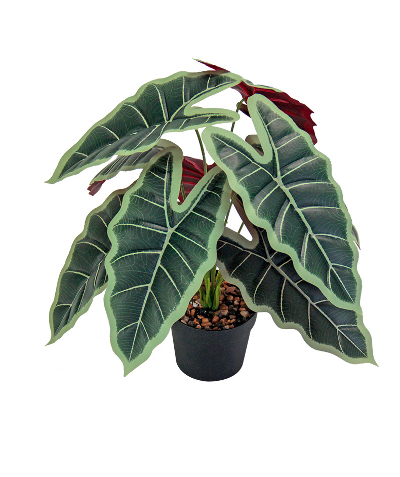 Artificial green plants, such as the lucky taro, are used for restaurant partition decoration, outdoor garden, grassland landscaping, and PVC plastic figures pic 11