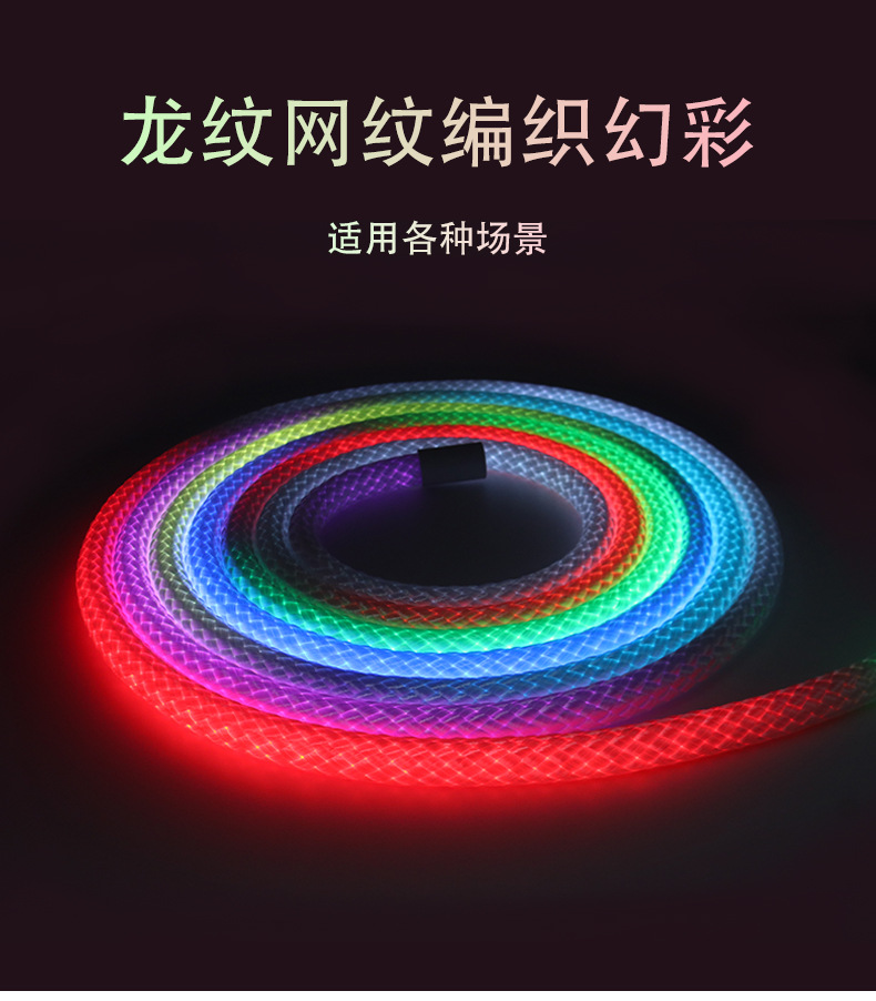 跨境专供龙纹编织幻彩灯带LED霓虹灯10mm防水Led柔性霓虹灯条形灯详情1