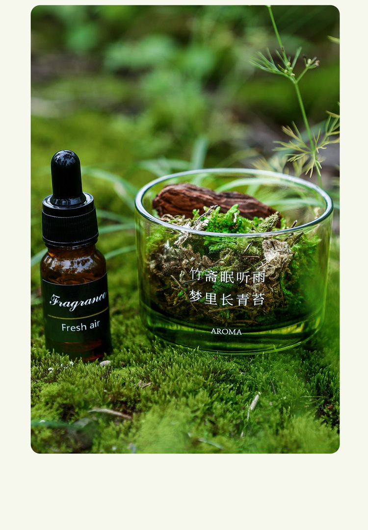 Dreamy Moss Diffuser Cup Aromatherapy Decoration, Creative diffuser essential Oil, Dragon Boat Festival Gift Aromatherapy decoration pic 5
