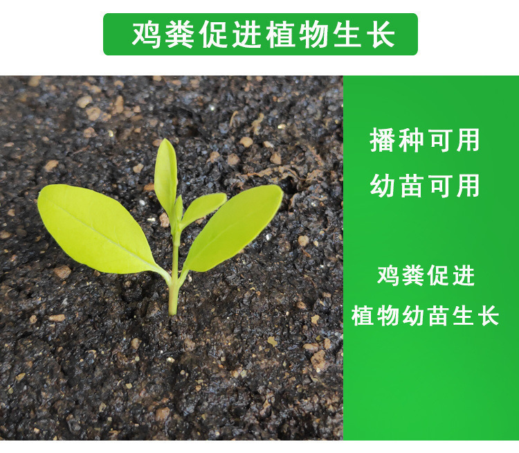 厂家直销鸡粪有机肥料干肥农家肥鸡屎肥蔬菜养花果树农家块种菜批详情4