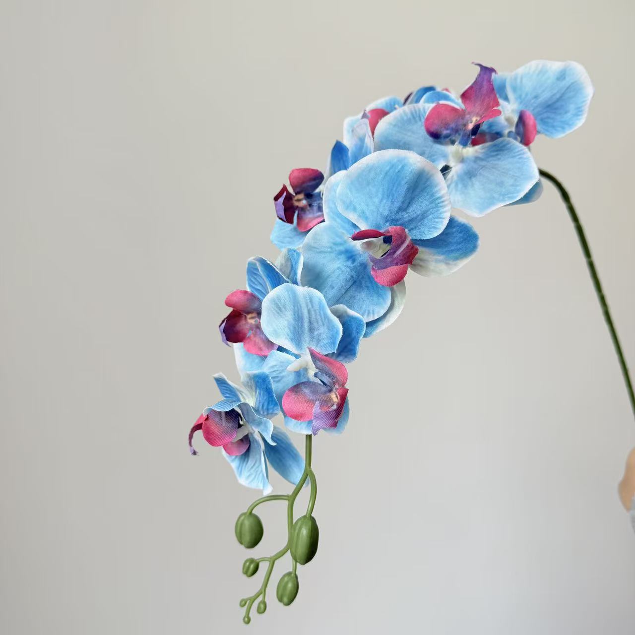 9头蝴蝶兰仿真花手感高级感逼真假花兰花艺场景布置酒店婚庆用花详情20