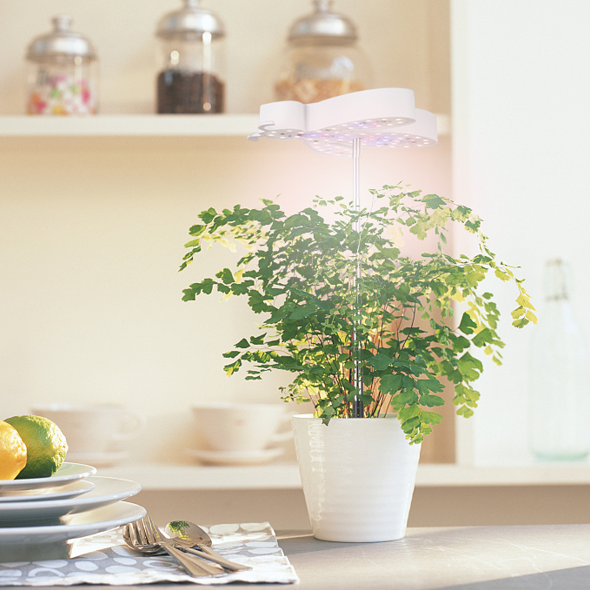 New Little Bee telescopic pole LED plant growth lamp, Angel ring succulent plant lamp, LED bonsai plant lamp pic 8