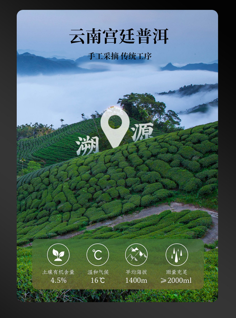 新会小青柑普洱茶天马陈皮普洱茶柑普茶陈皮小青柑散装厂家批发详情20