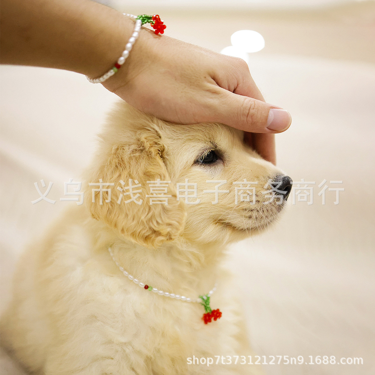 Pet school uniforms, puppy clothing, pet dog clothes, cute pet clothing pic 1