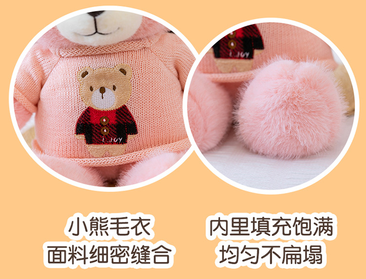 毛衣泰迪熊公仔毛衣百变小熊毛绒玩具情人节送女生布娃娃礼物熊送详情5