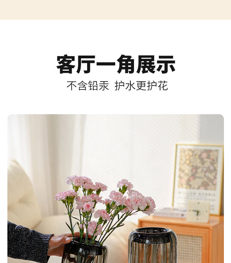 现代轻奢透明玻璃花器插花花瓶摆件家居客厅电视柜简约餐桌装饰品详情8