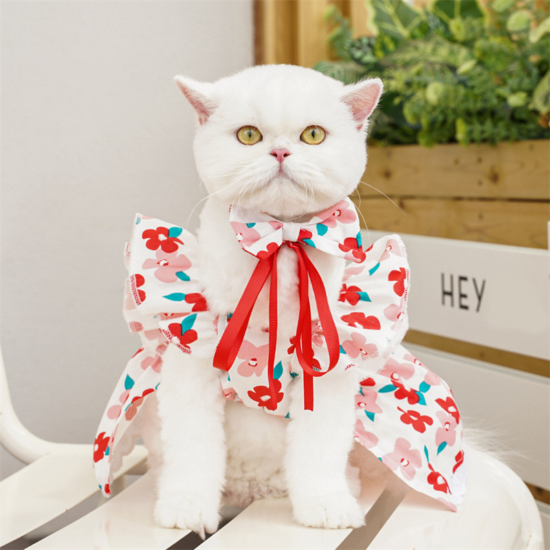 宠物衣服飞袖三色连衣裙春夏款泰迪比熊柯基小狗猫咪服装用品批发详情23