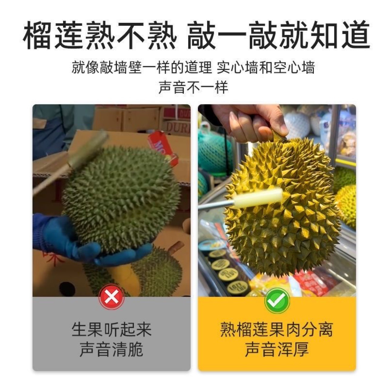 Tap the durian stick to open the durian magic tool, the durian opener, tap the durian stick to open the durian tool clip, tap the durian stick to test the fruit pic 3