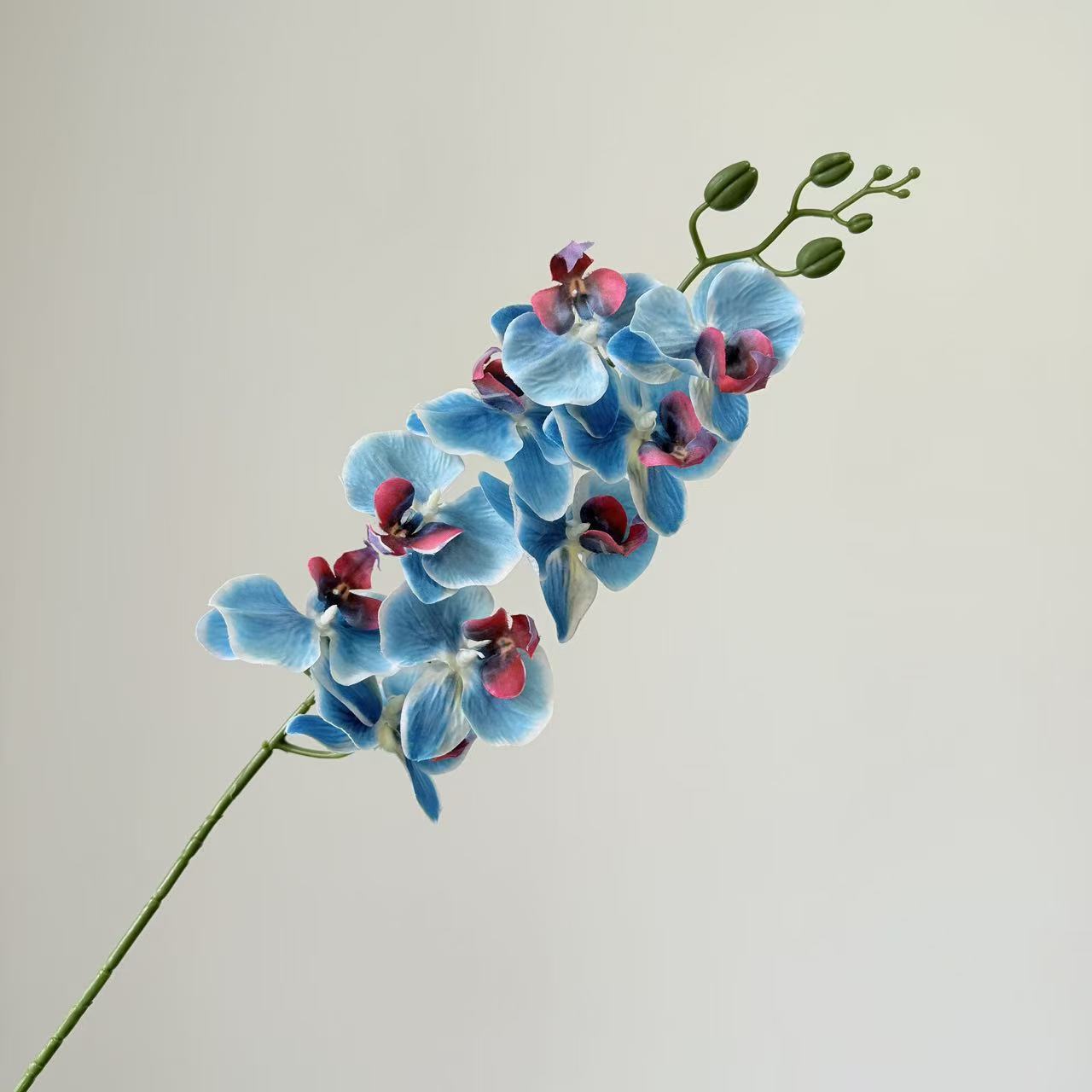 9头蝴蝶兰仿真花手感高级感逼真假花兰花艺场景布置酒店婚庆用花详情19