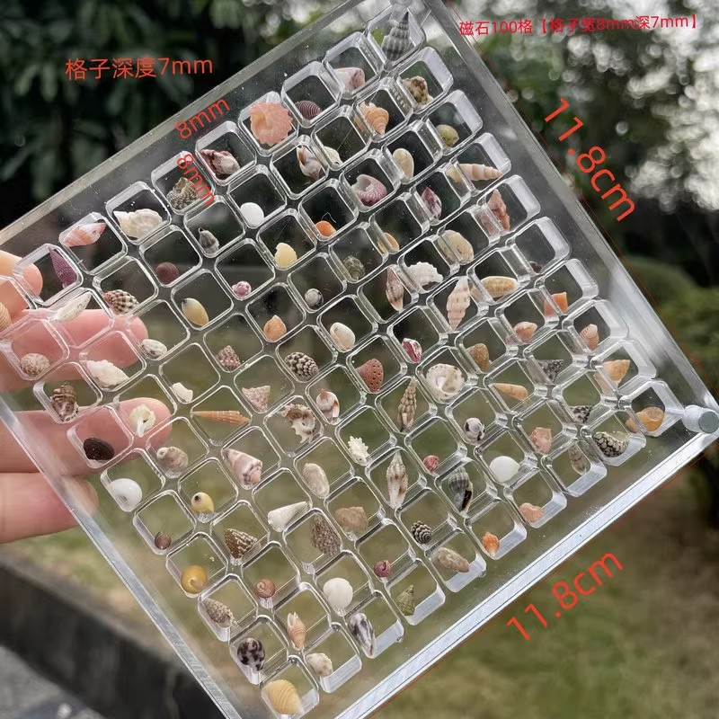 亚克力贝壳收纳盒透明微型石头海边标本相框展示收藏美甲收集盒子详情4