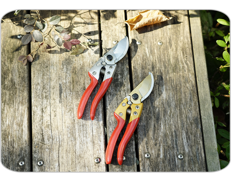 佰世园艺高碳钢省力修枝剪果树剪园林工具粗枝剪厂家直销详情7