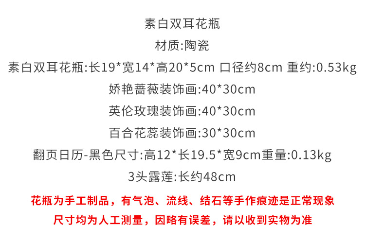 双耳花瓶ins风高颜值客厅干鲜花民宿百搭艺术高级感家居软装花器详情2