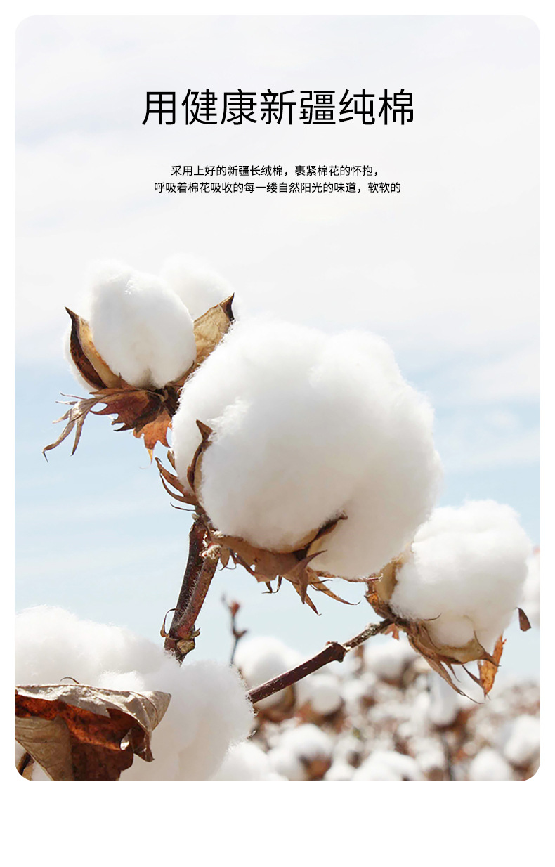 190g重纯棉棉男士春秋款纯色长袖t恤男士宽松打底衫休闲上衣服详情14