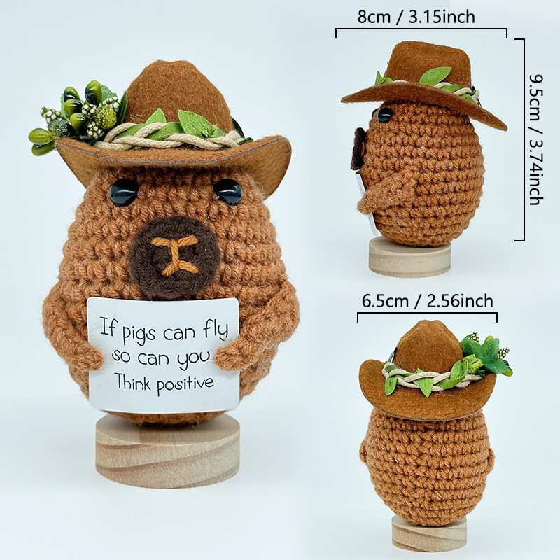 跨境爆款钩织牛仔帽玩偶情绪玩偶纯手工励志抱卡玩偶系列精美礼品详情12