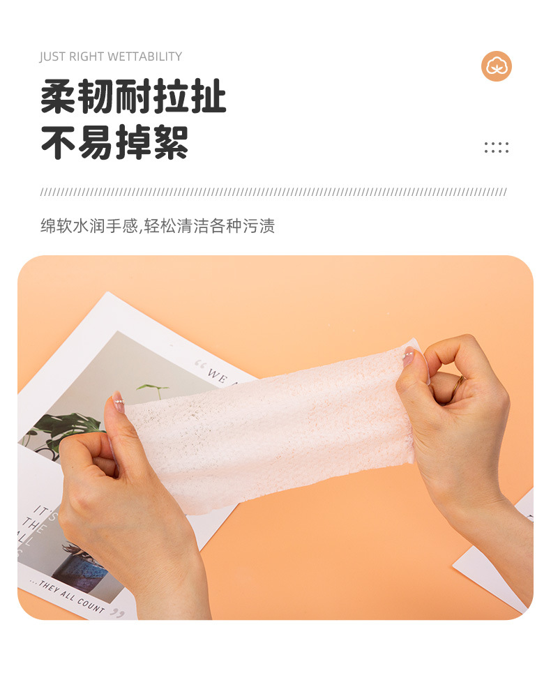 家用款婴儿湿巾大包装制手口清洁纸巾厂家批发详情14