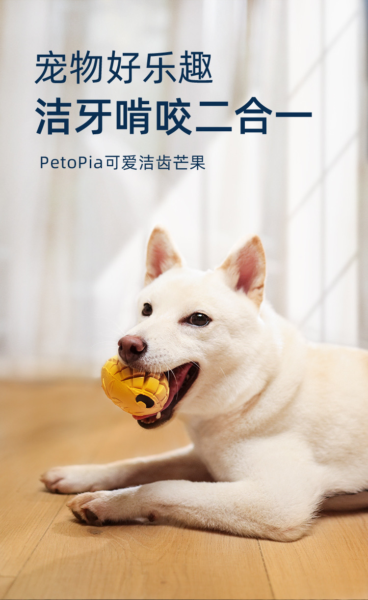亚马逊跨境宠物爆款大狗狗玩具天然橡胶漏食磨牙洁齿益智发声耐咬详情13