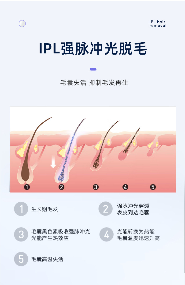 新款脱毛仪家用蓝宝石冰感 无痛强脉冲全身IPL光子美容嫩肤脱毛仪详情8