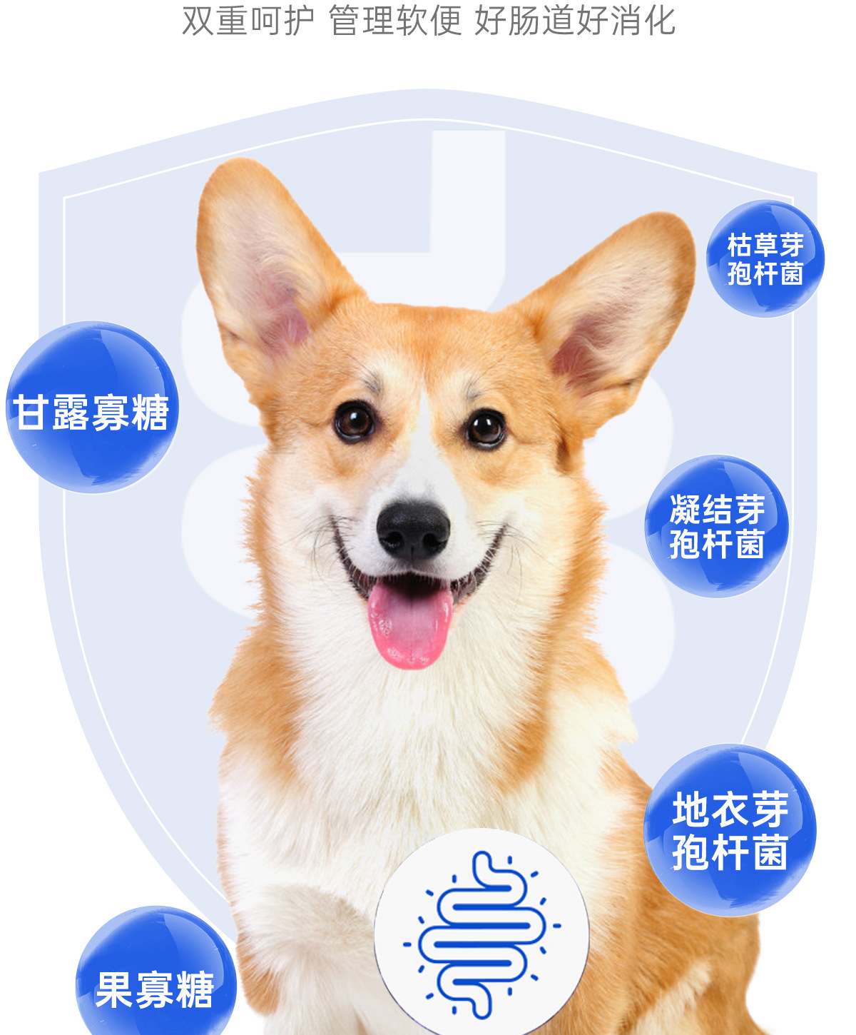笑宠狗粮工厂宠物狗批发小型犬冻干蛋黄鸡肉鸡肝生骨肉幼犬粮成犬详情10